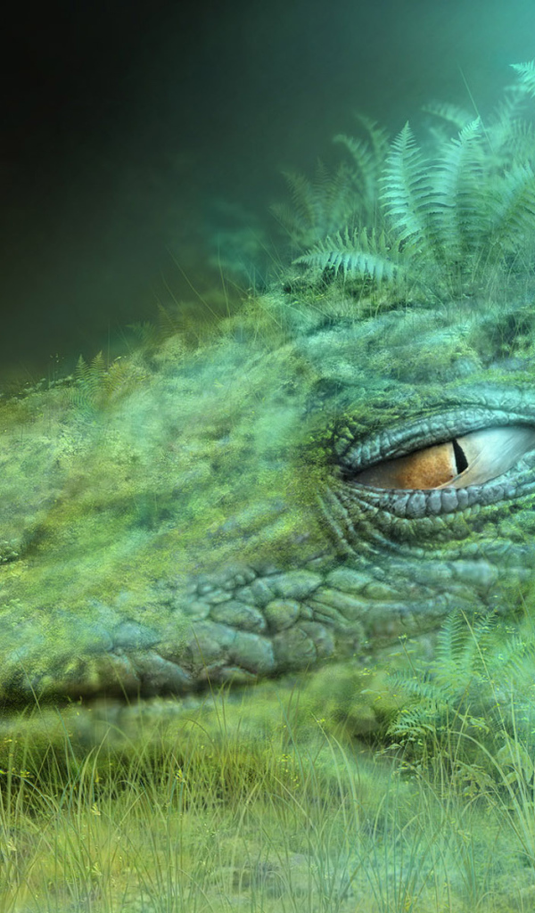 Голова дракона