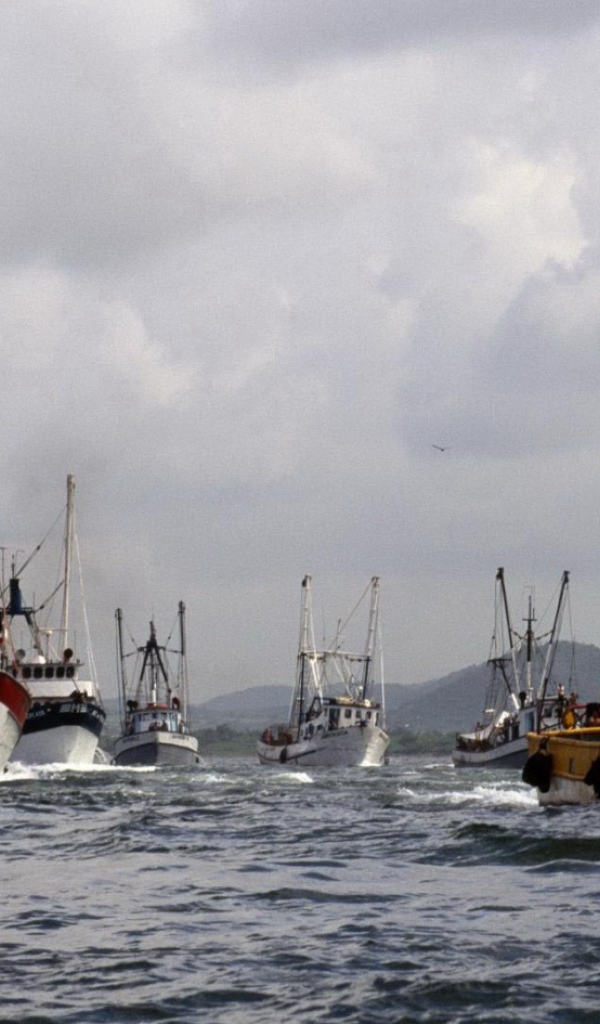 Суда в гавани