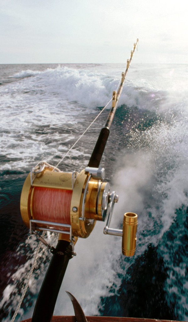 Спортивный лов рыбы