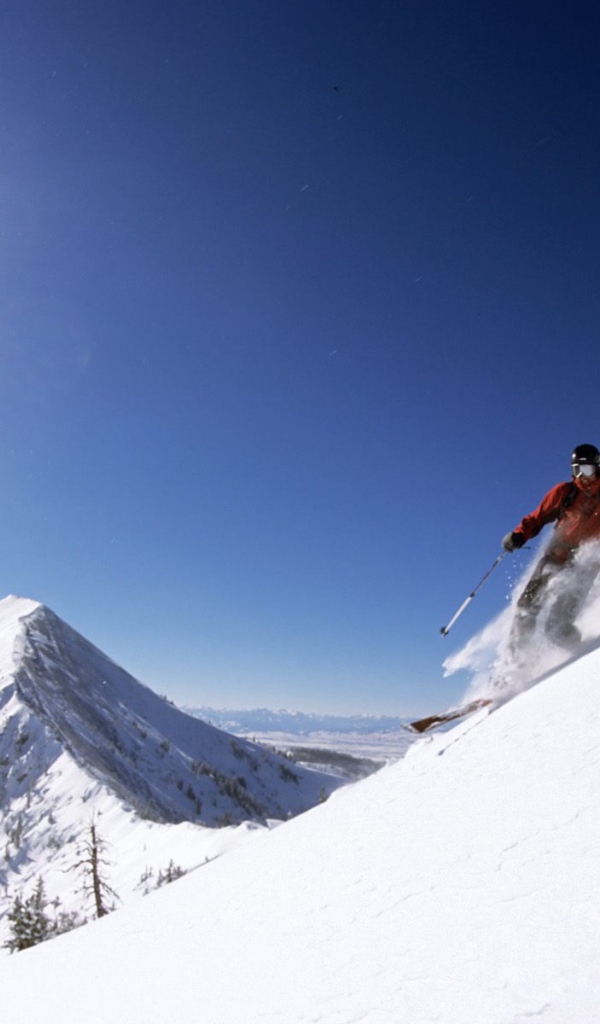 Спуск на лыжах с высоты
