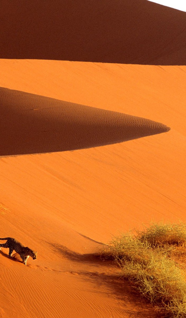 Пересечение Дюн Парка Sossusvlei / Намибия / Африка