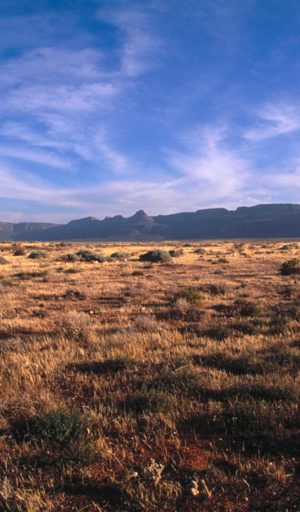 Karoo - Кару / Африка