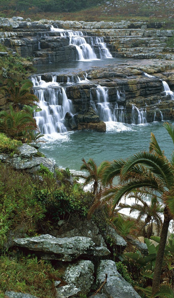 Заповедник Мкабати / Побережье Пондоланд / Африка