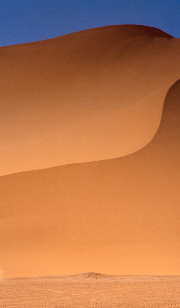Пустыня Сахара / Алжир / Африка