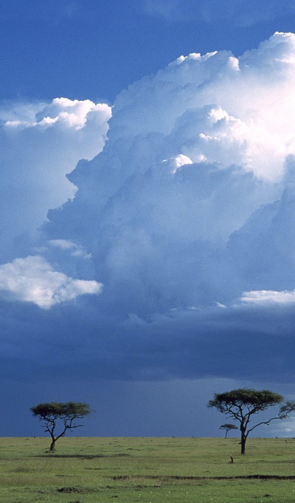 Шторм по Саванне / Masai Mara Резервация / Кения / Африка