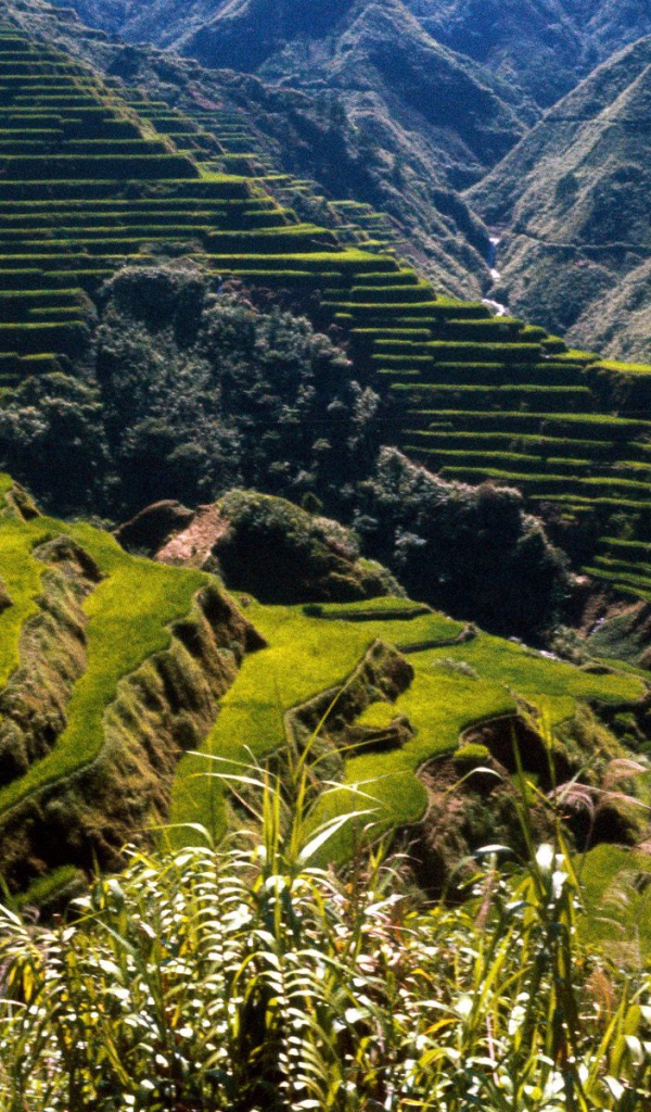 Древние Террасы Риса / Филиппины