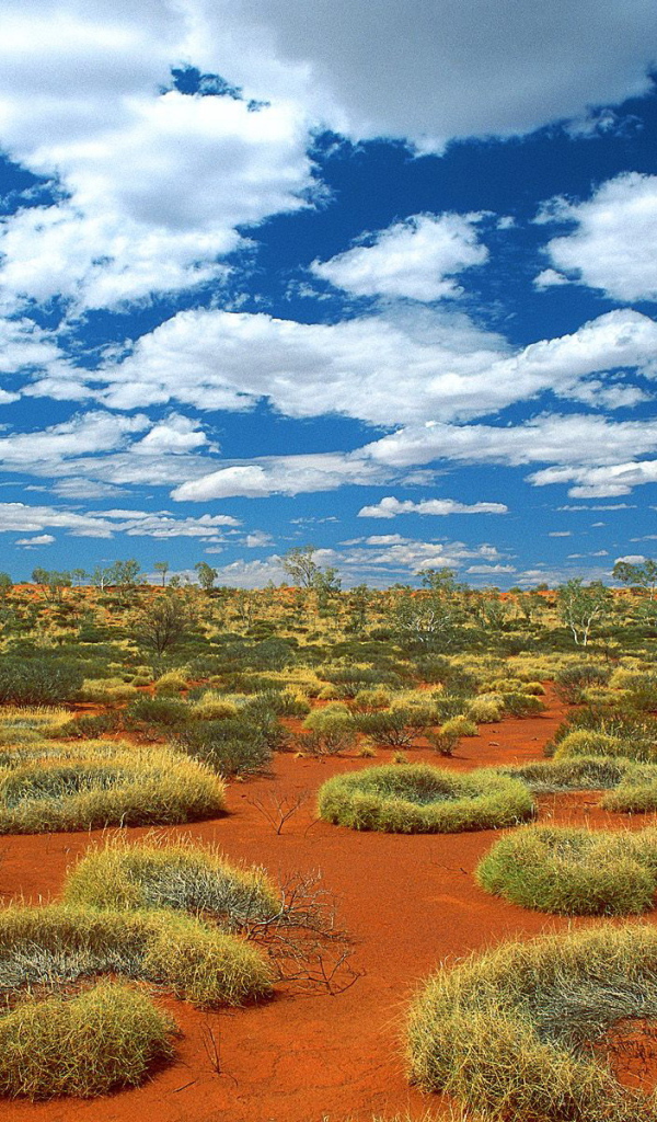Australian Nature