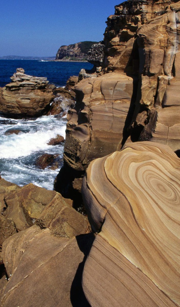 Прибрежный Песчаник / Залив Maitland / Buddi Национальный Парк / Южный Уэльс / Австралия
