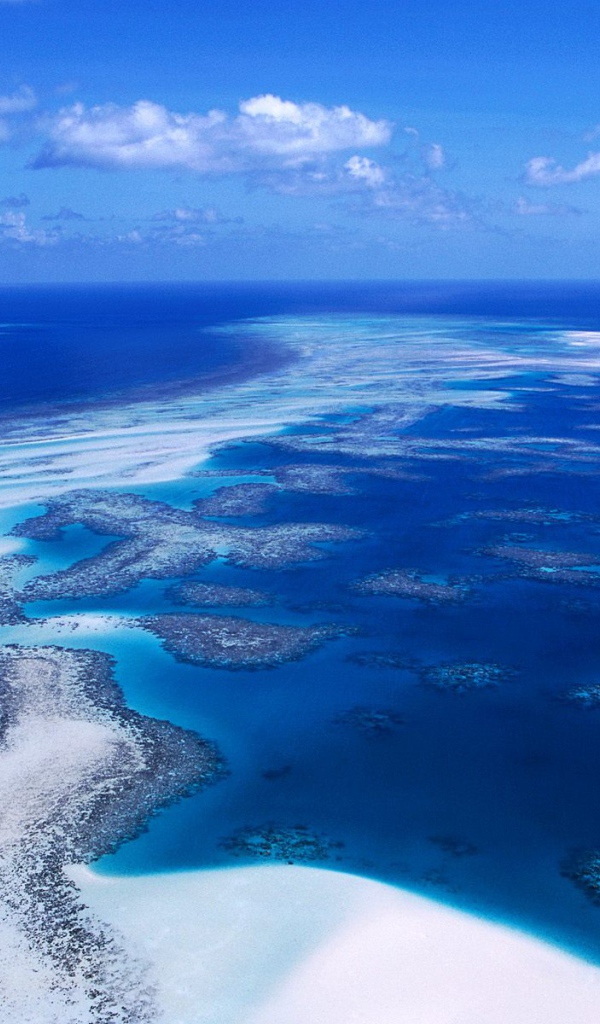 Коралловый риф / Острова Пролива Торреса / Австралия