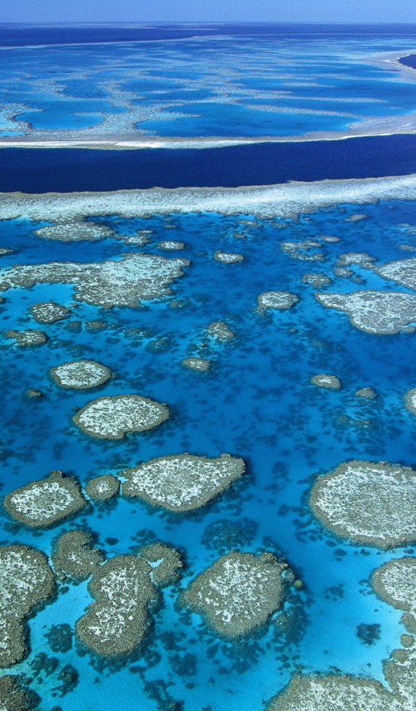  Большой Барьерный риф / Квинсленд / Австралия