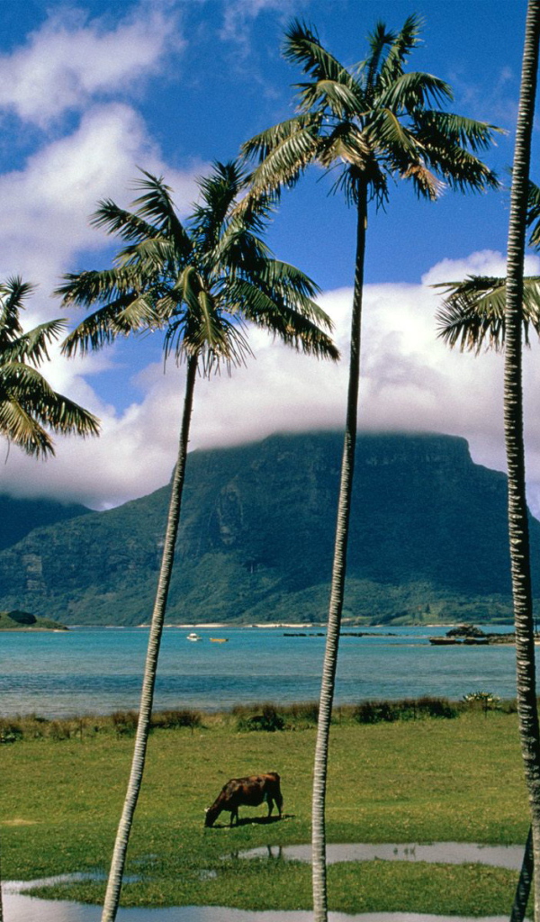 Остров Lord Howe