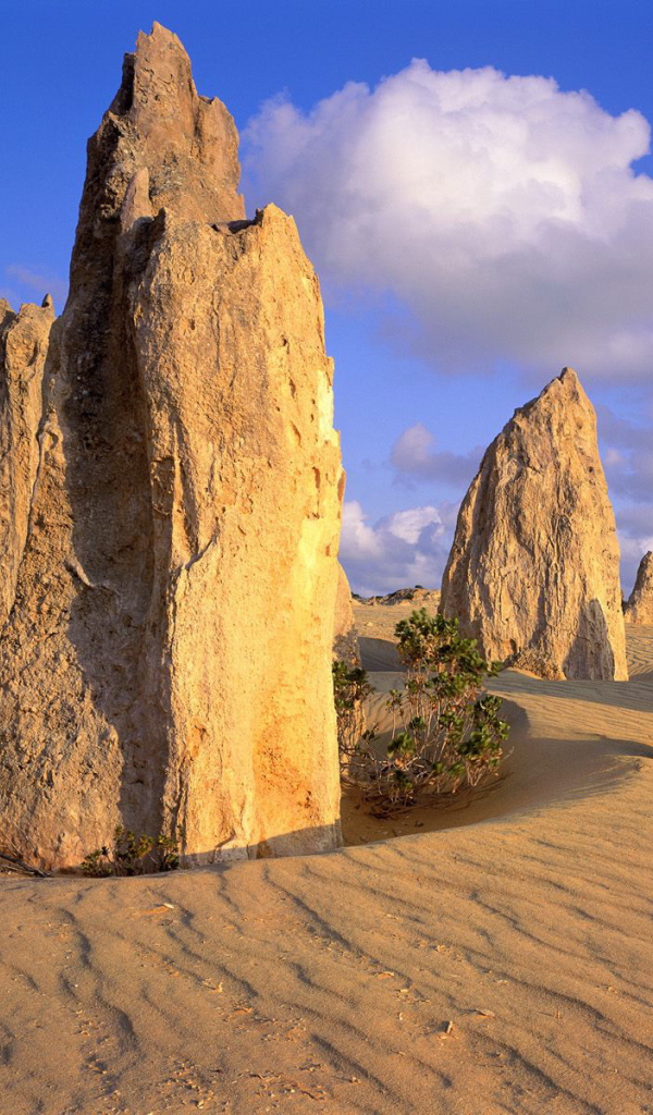 Каменная пустыня - Австралия