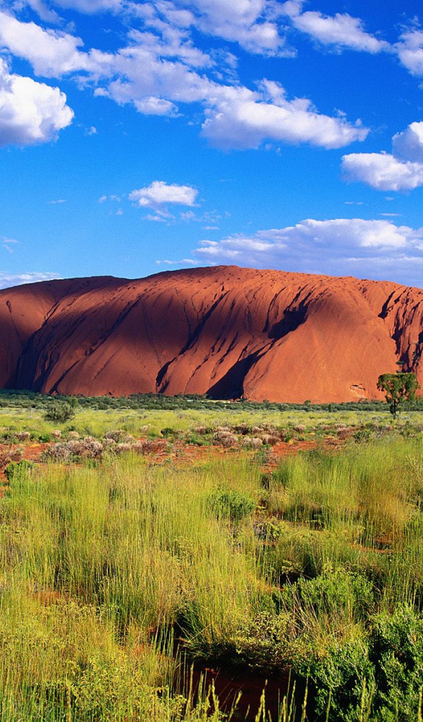 Uluru-Kata Tjata Национальный Парк / Австралия