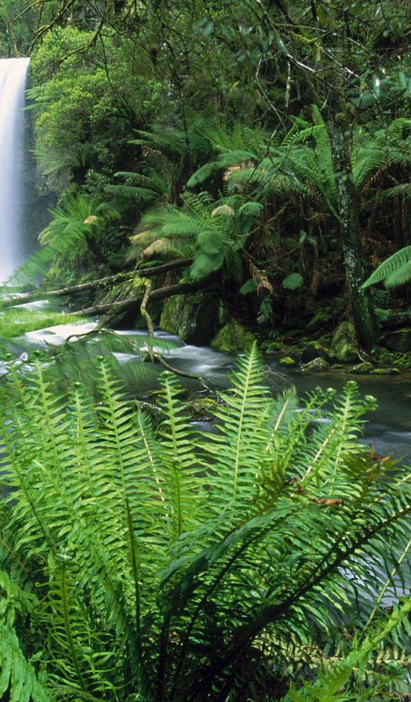 Водопад - Австралия