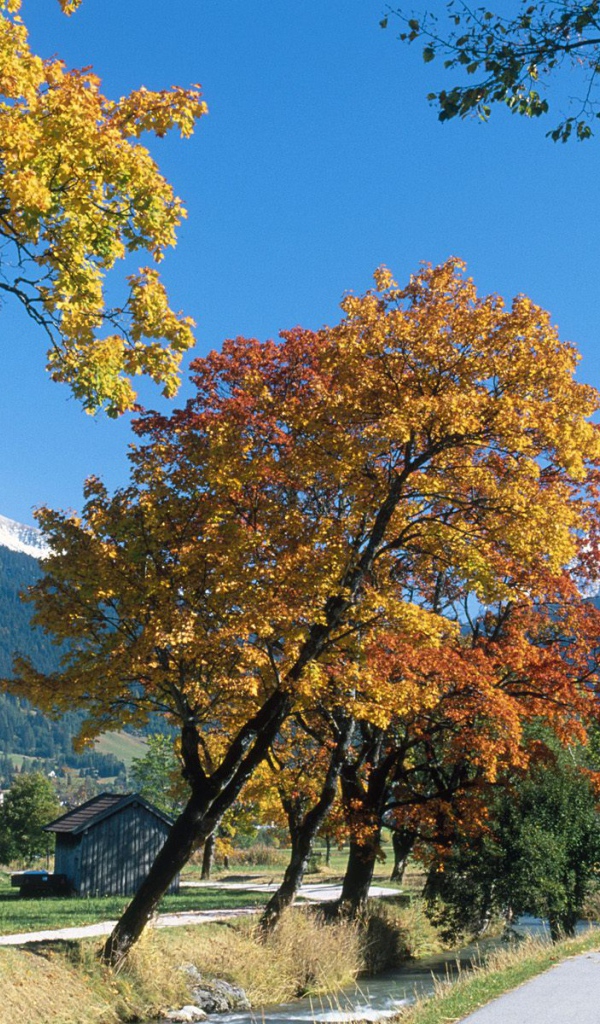 Ehrwald Осенью, Альпы