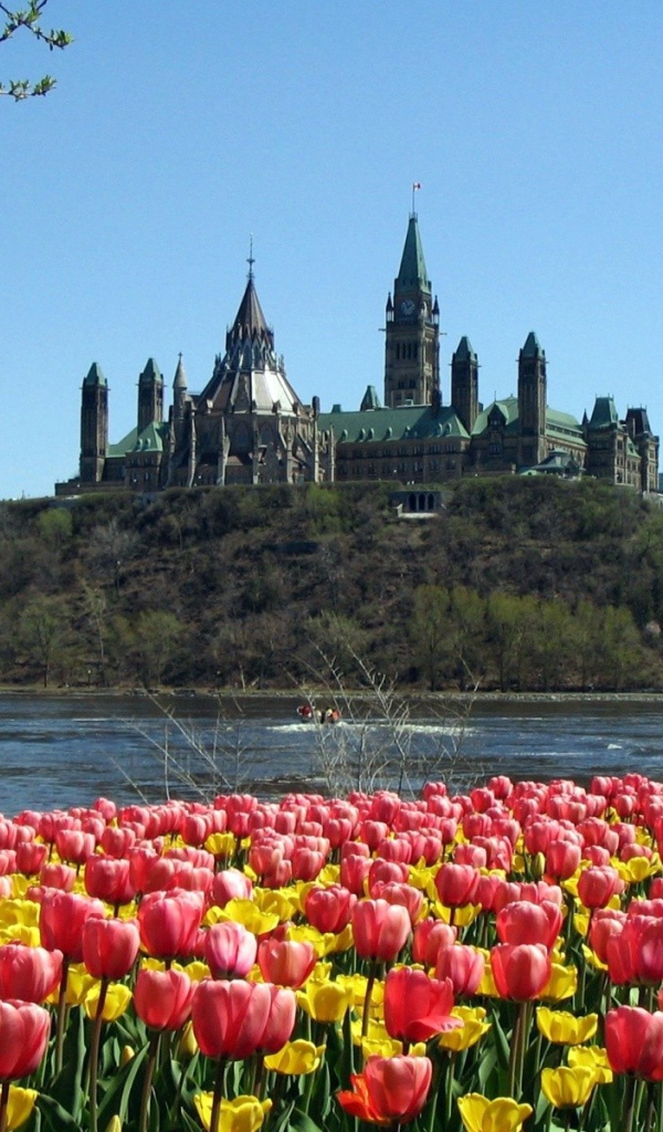 Парламентский холм