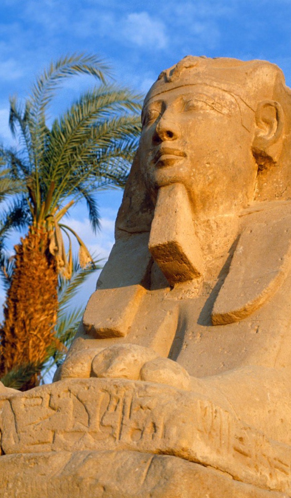 Сфинкс, Египет