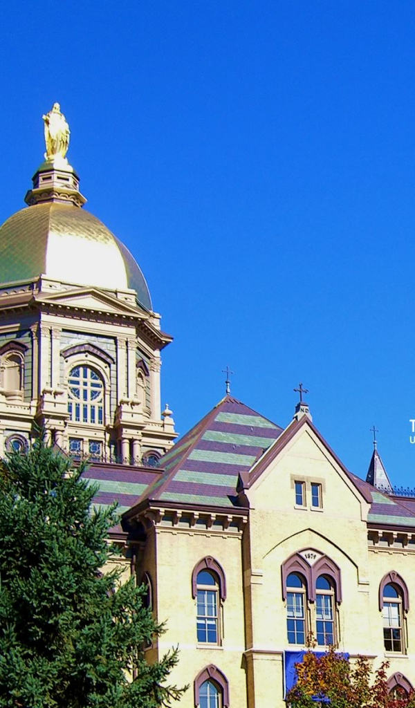 Золотой купол