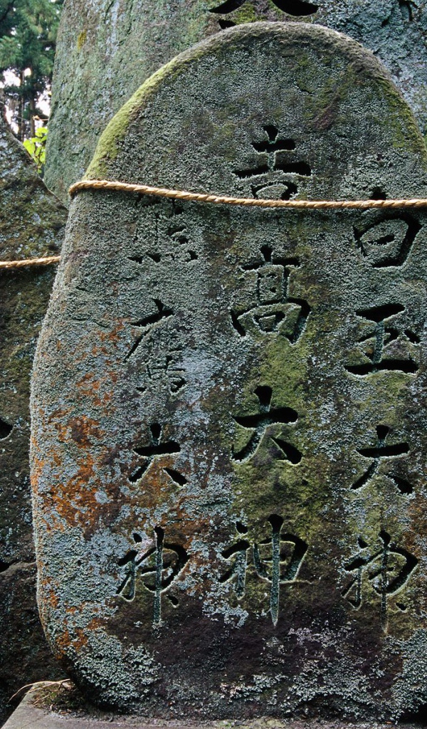 Святыня Фушими-инари Тэйшы, Киото, Япония