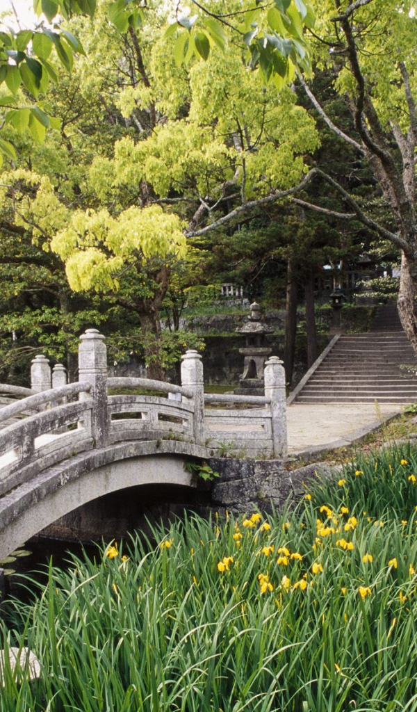 Сад Замка Hagi, Западный Хонсю