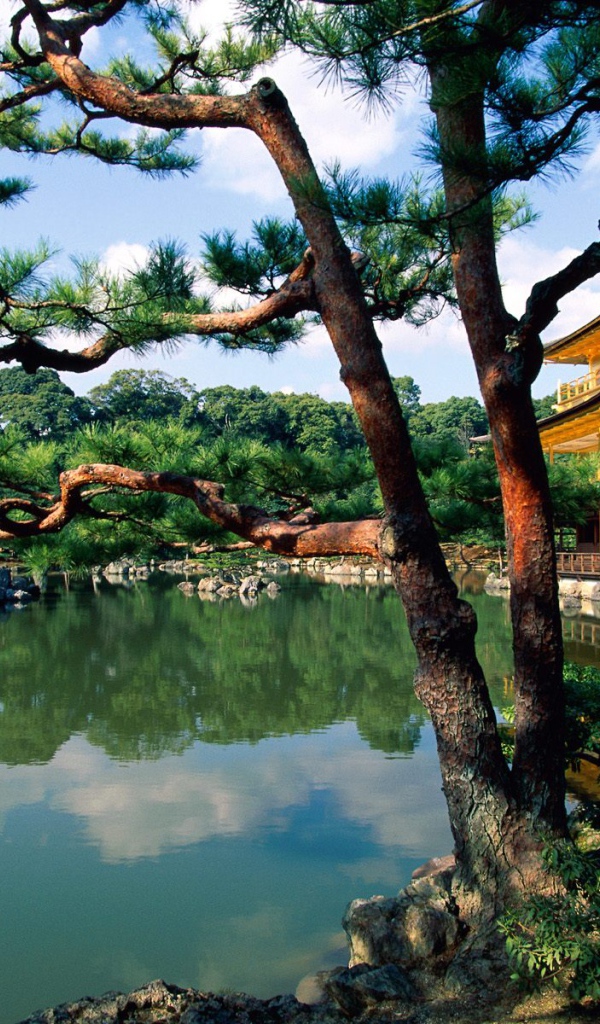 Храм Kinkaku-ji, Киото