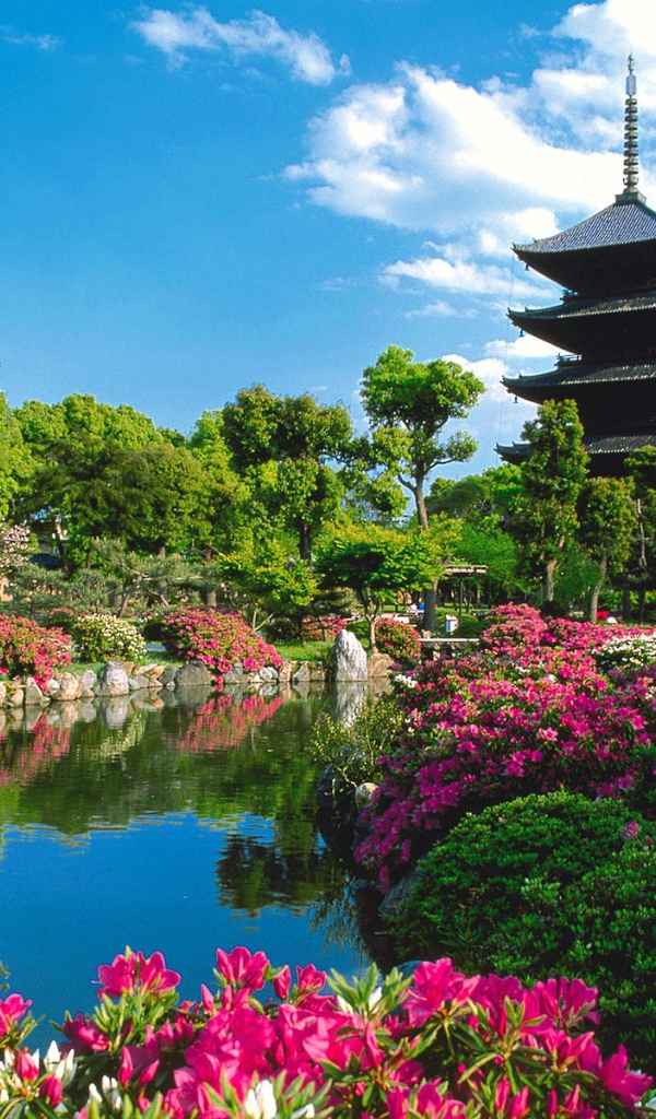 Храм Toji, Киото, Япония