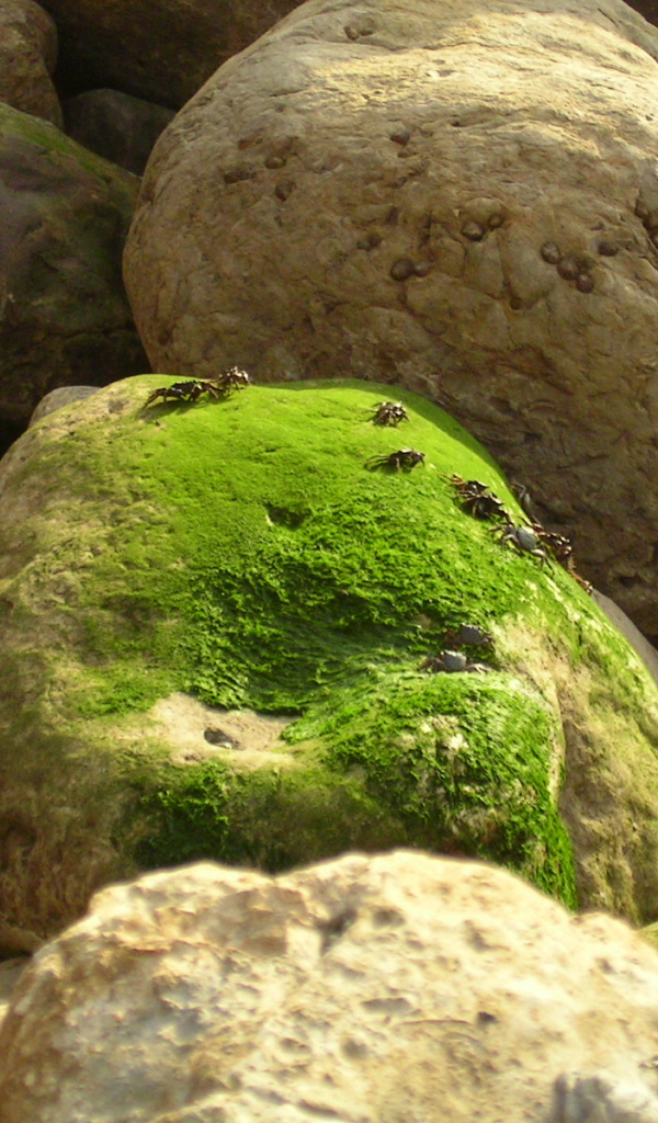 Залив Sao Martinho