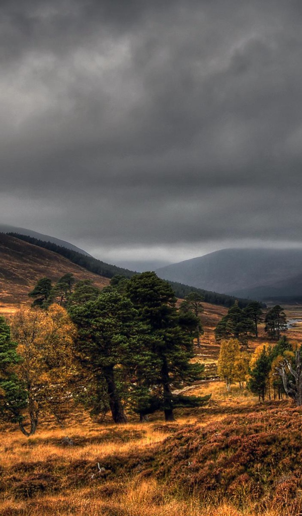 Дымчатые топазы Шотландии