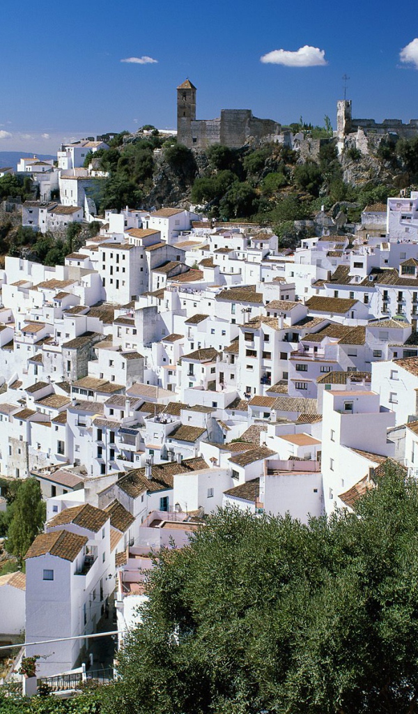 Casares