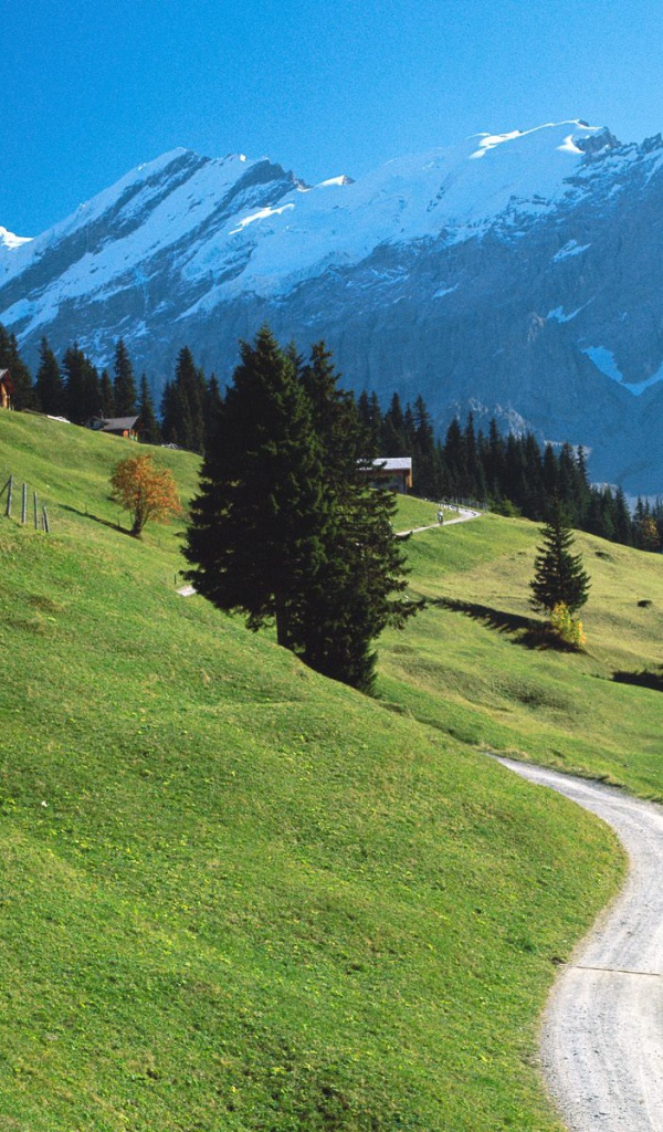 Bernese Oberland, Швейцария
