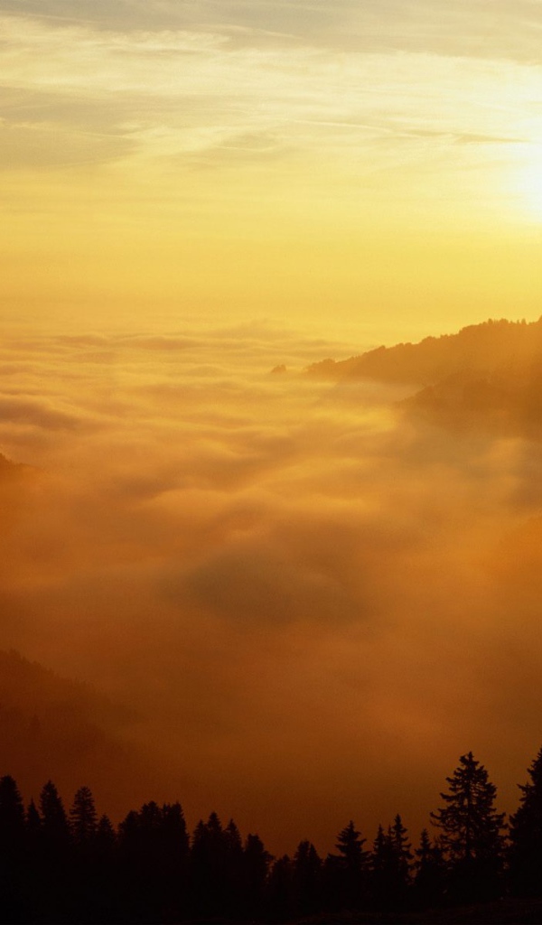 Святой Голлен, Швейцария