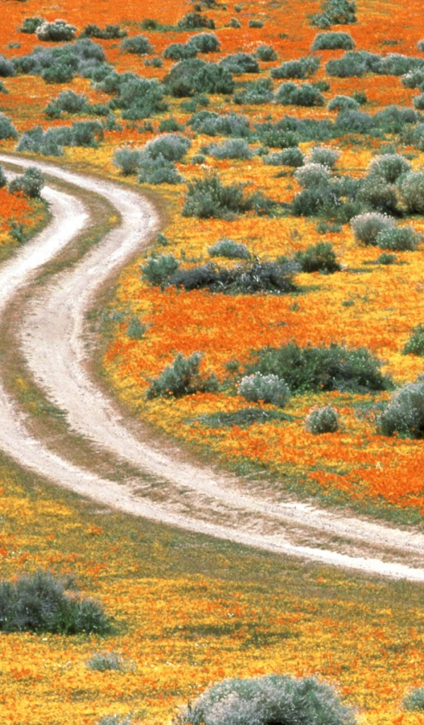 Долина антилопы США