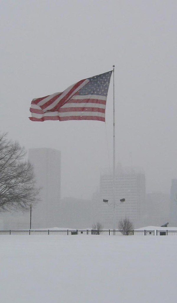 Большой Американский флаг