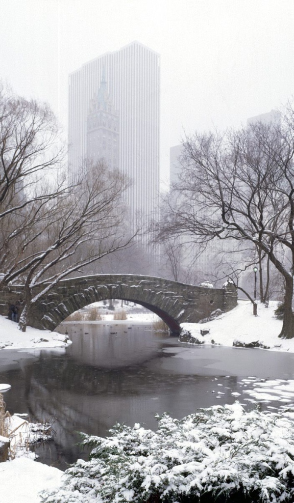 Центральный Парк НЬЮ-ЙОРК США