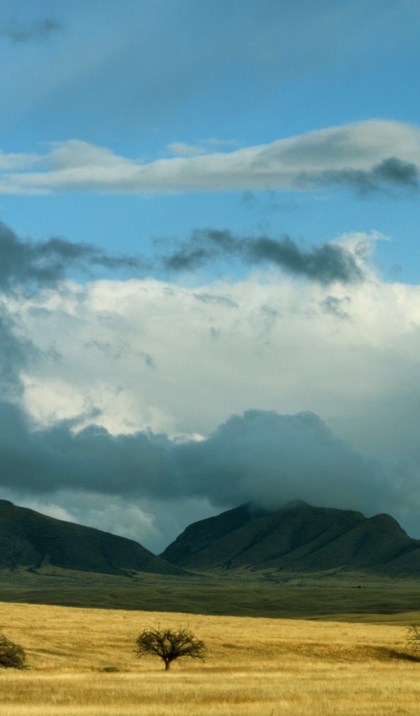 Прояснение Штормовых Облаков / Coronado Национальный Лес / Аризона / США