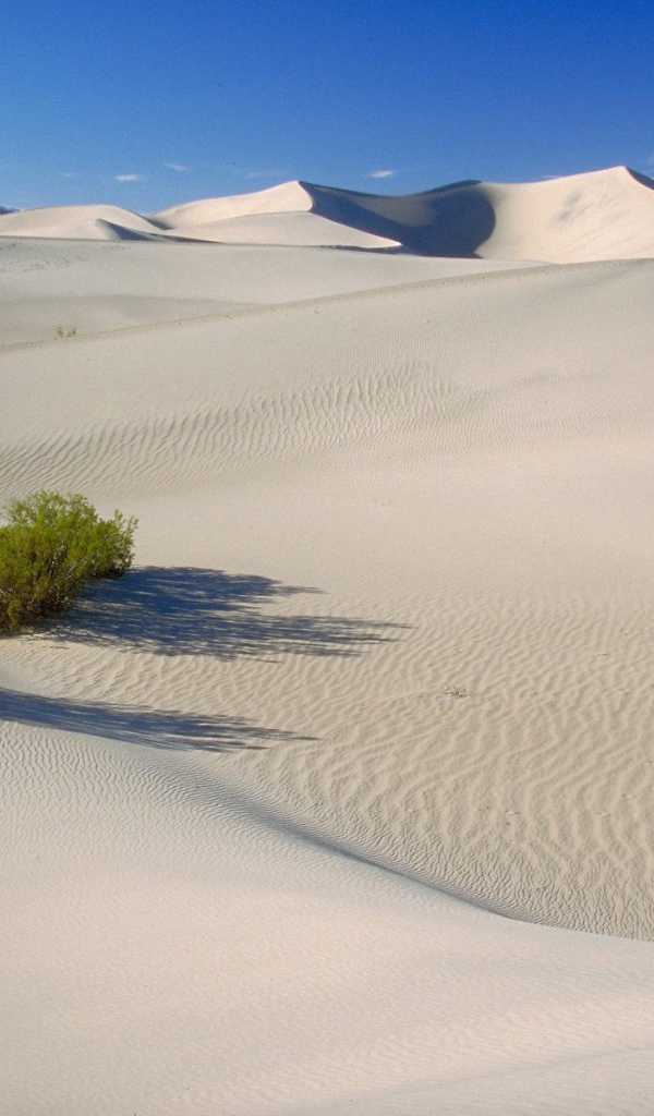 Долина Смерти США