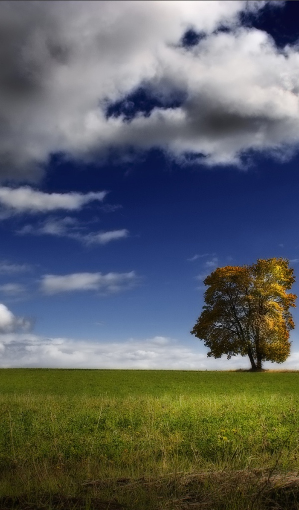 Возвышение США