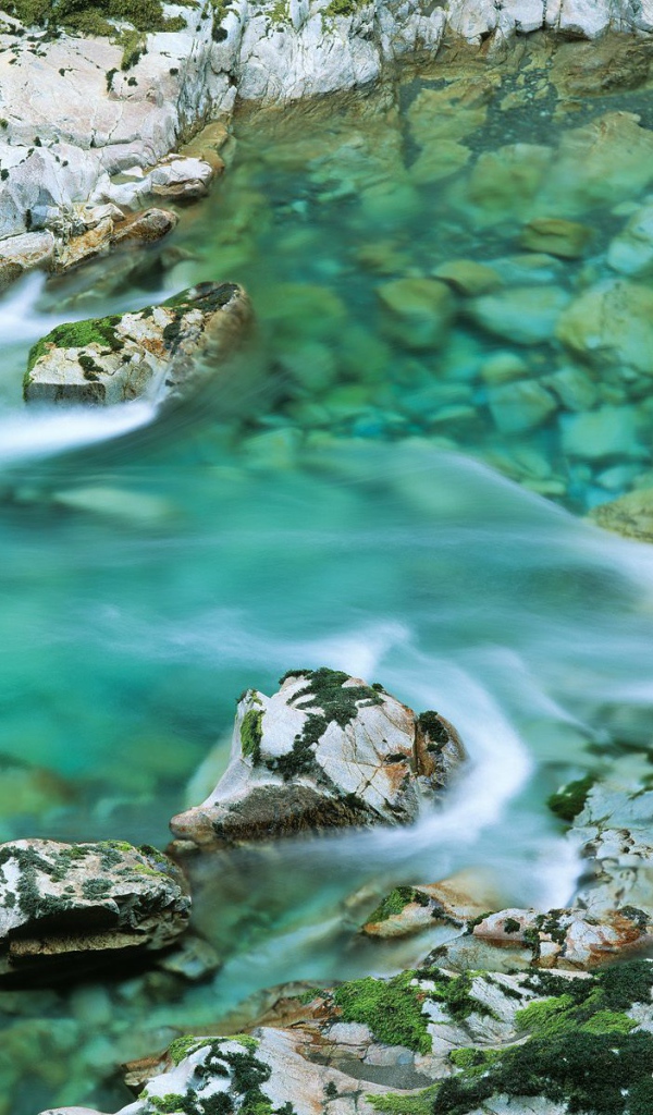 Река Лося США