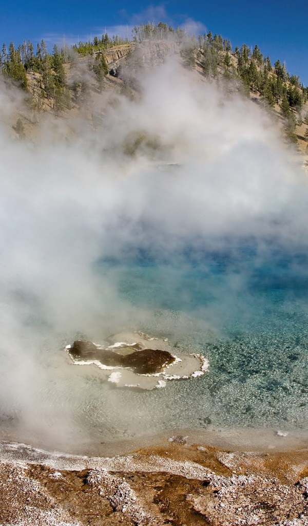 Гейзер Мягкой древесной стружки США