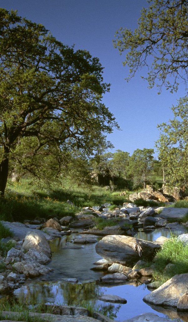 Золотая Страна / Калифорния / США