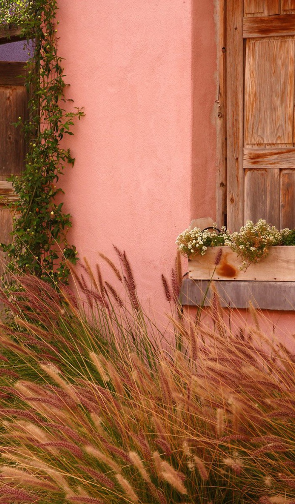 Исторический Дом / Тусон / Аризона / США