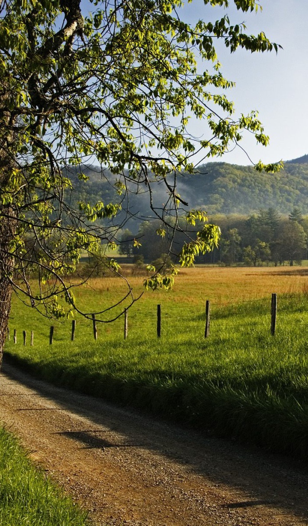 Переулок Hyatt, США