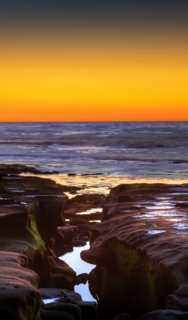 La Jolla бухта, США