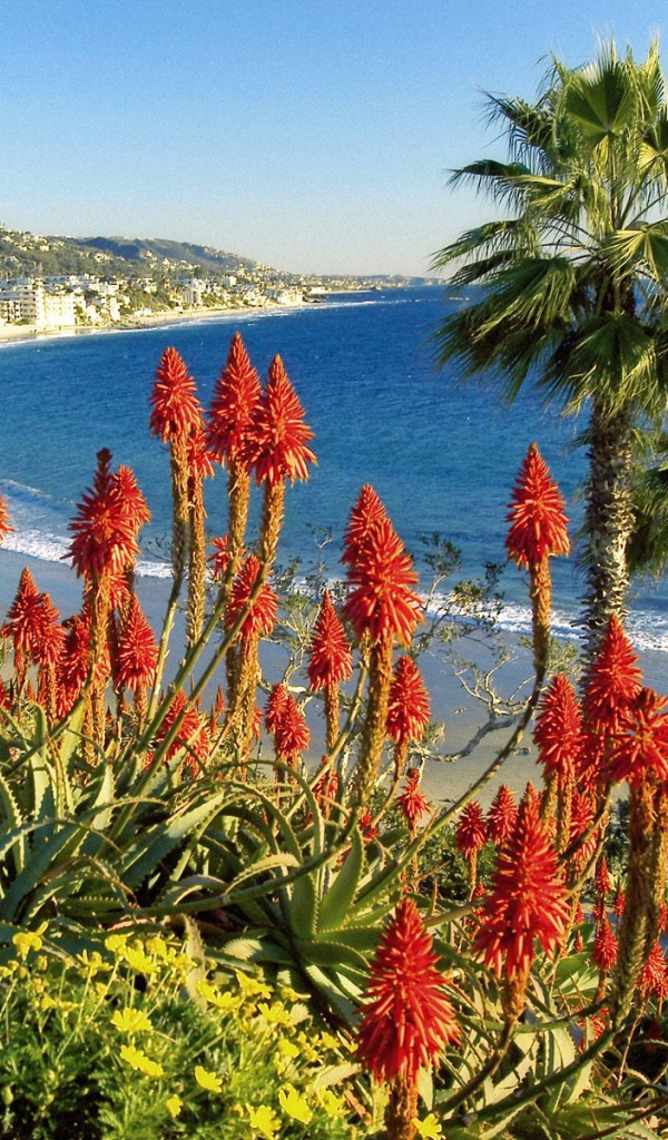 Лагуна Бич / Калифорния / США