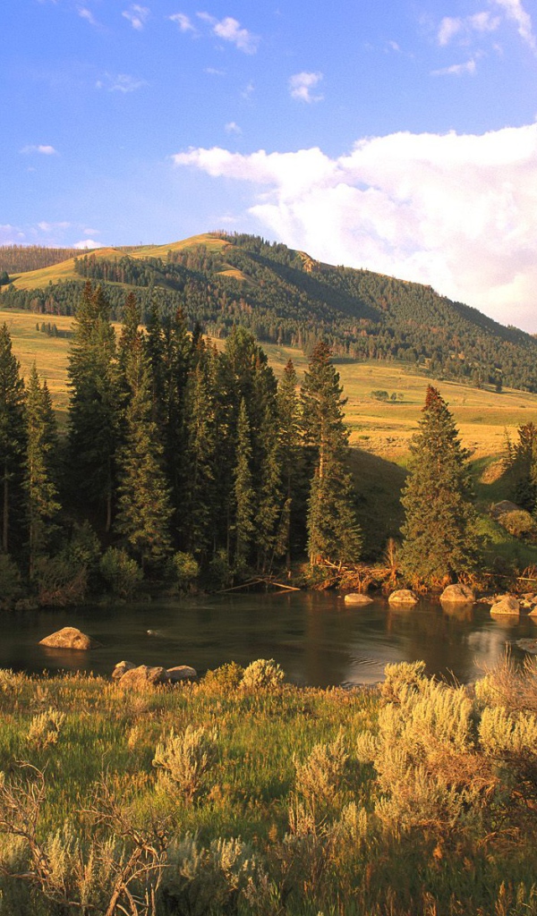 Долина Реки Lamar, США