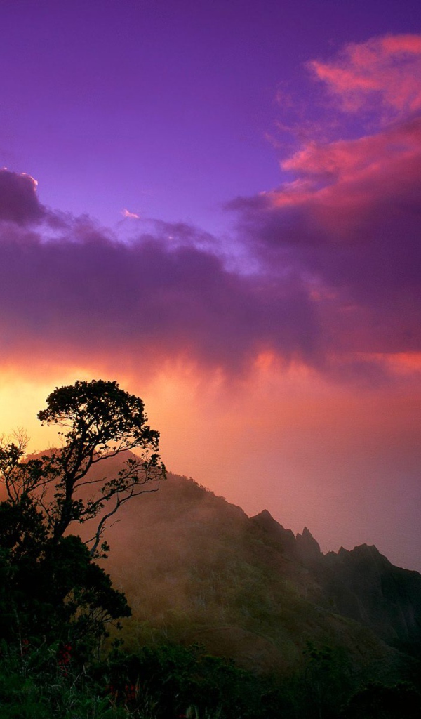 Побережье На Пали , США