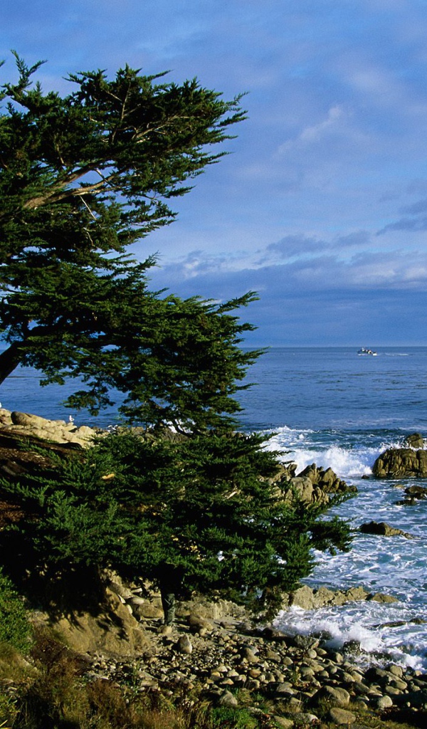 Тихоокеанская Береговая линия / Калифорния / США