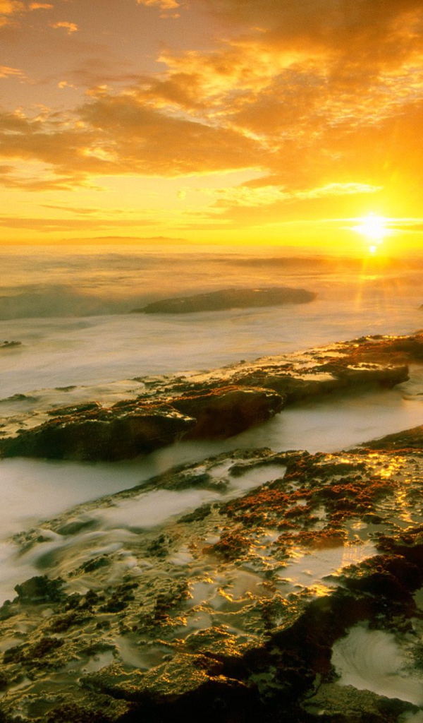 Красивый вид на море  / Сан Педро / Калифорния / США