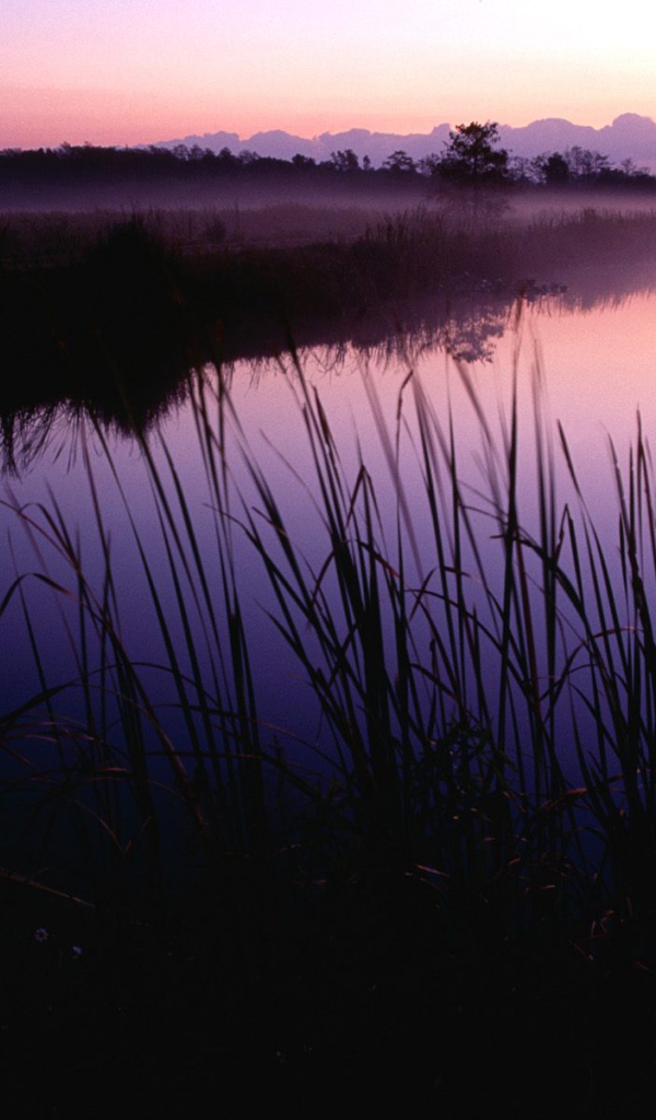 Закат в Убежище, США