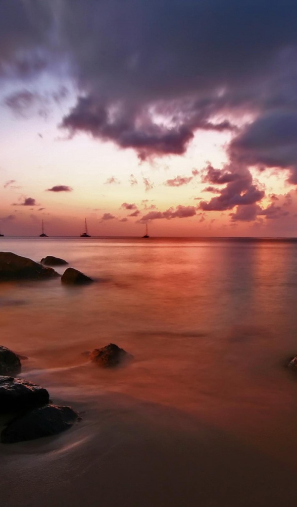 Исчезающий Свет, США